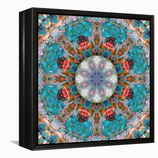 Mandala of Flower Photographies-Alaya Gadeh-Framed Premier Image Canvas