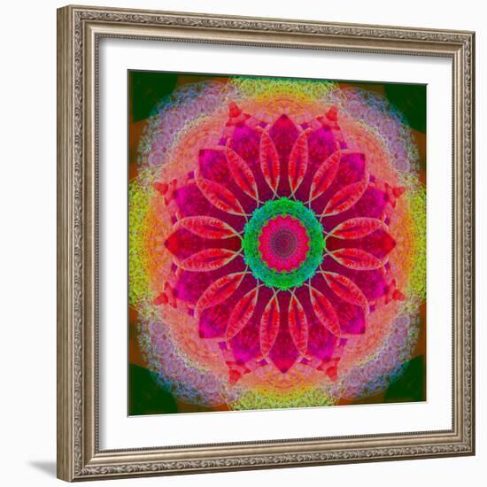 Mandala of Flower Photographies-Alaya Gadeh-Framed Photographic Print