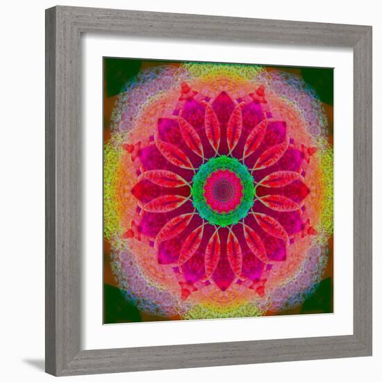 Mandala of Flower Photographies-Alaya Gadeh-Framed Photographic Print