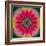 Mandala of Flower Photographies-Alaya Gadeh-Framed Photographic Print