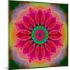 Mandala of Flower Photographies-Alaya Gadeh-Mounted Photographic Print