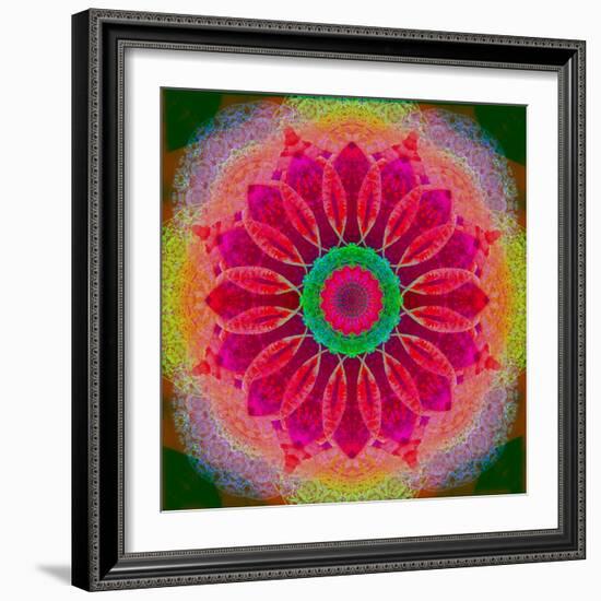 Mandala of Flower Photographies-Alaya Gadeh-Framed Photographic Print