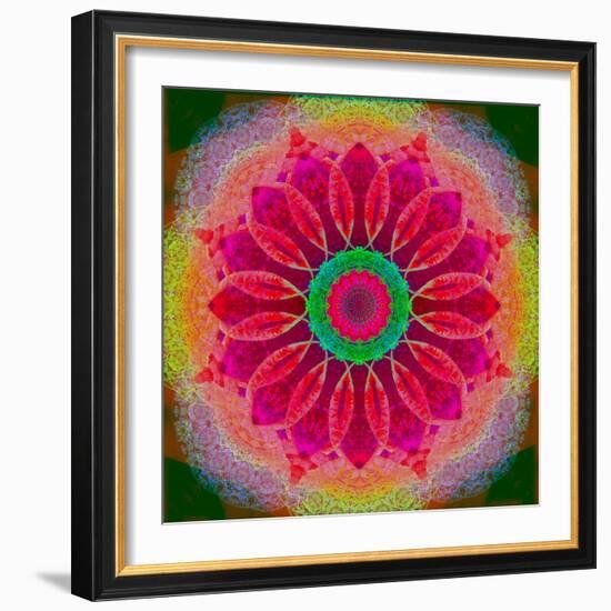 Mandala of Flower Photographies-Alaya Gadeh-Framed Photographic Print