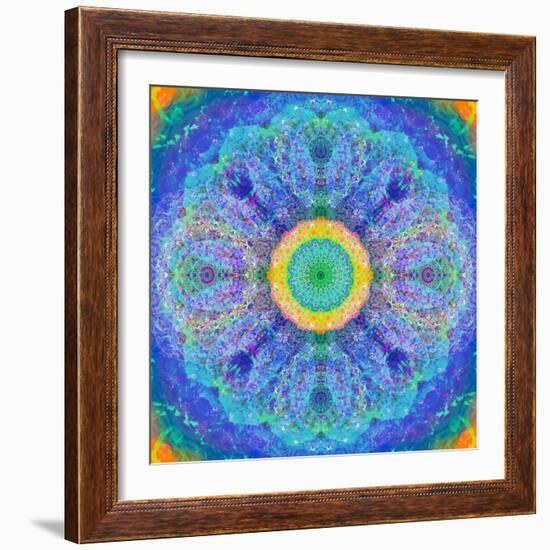 Mandala of Flower Photographies-Alaya Gadeh-Framed Photographic Print