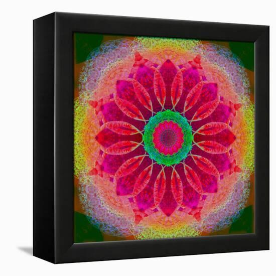 Mandala of Flower Photographies-Alaya Gadeh-Framed Premier Image Canvas