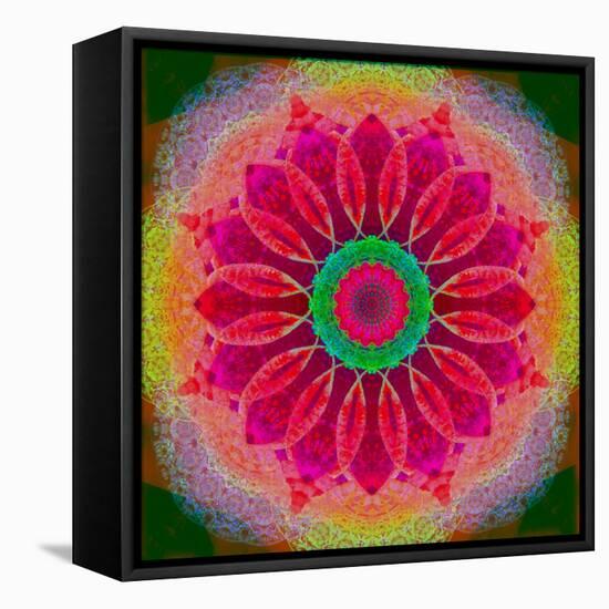 Mandala of Flower Photographies-Alaya Gadeh-Framed Premier Image Canvas