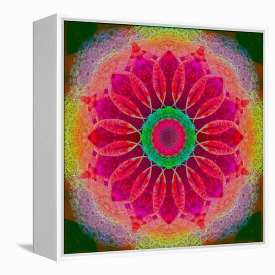 Mandala of Flower Photographies-Alaya Gadeh-Framed Premier Image Canvas