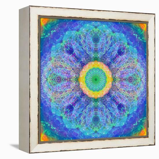 Mandala of Flower Photographies-Alaya Gadeh-Framed Premier Image Canvas