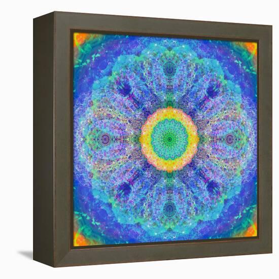 Mandala of Flower Photographies-Alaya Gadeh-Framed Premier Image Canvas