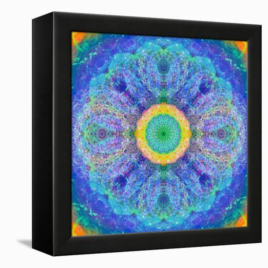 Mandala of Flower Photographies-Alaya Gadeh-Framed Premier Image Canvas