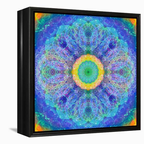 Mandala of Flower Photographies-Alaya Gadeh-Framed Premier Image Canvas