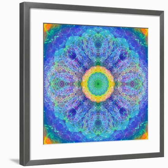 Mandala of Flower Photographies-Alaya Gadeh-Framed Photographic Print