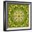 Mandala of Flower Photographies-Alaya Gadeh-Framed Photographic Print