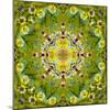 Mandala of Flower Photographies-Alaya Gadeh-Mounted Photographic Print