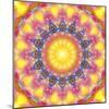 Mandala of Flower Photographies-Alaya Gadeh-Mounted Photographic Print