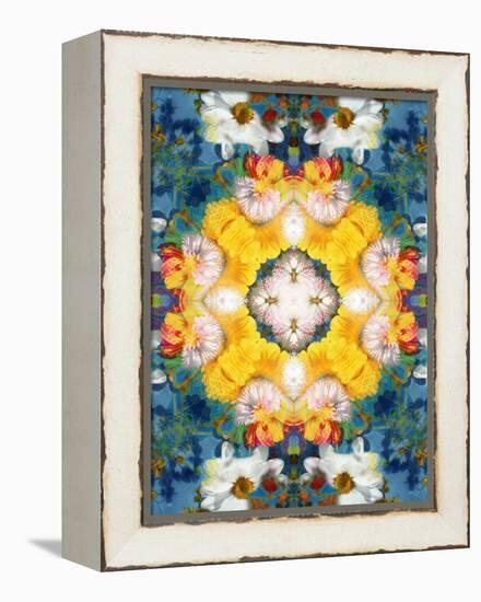 Mandala Ornament from Flower Photographs-Alaya Gadeh-Framed Premier Image Canvas