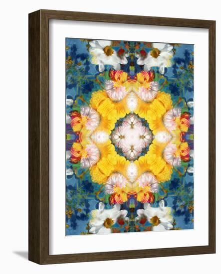 Mandala Ornament from Flower Photographs-Alaya Gadeh-Framed Photographic Print