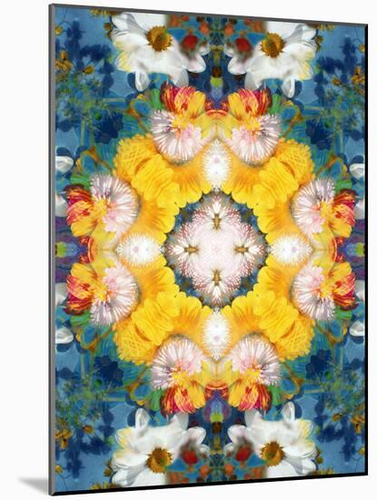 Mandala Ornament from Flower Photographs-Alaya Gadeh-Mounted Photographic Print