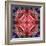 Mandala Ornament from Flower Photographs-Alaya Gadeh-Framed Photographic Print