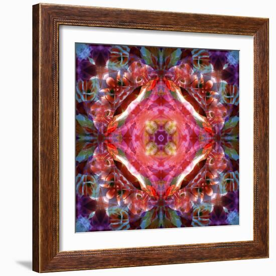 Mandala Ornament from Flower Photographs-Alaya Gadeh-Framed Photographic Print