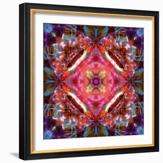 Mandala Ornament from Flower Photographs-Alaya Gadeh-Framed Photographic Print