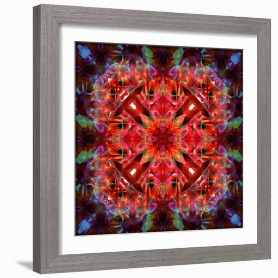 Mandala Ornament from Flower Photographs-Alaya Gadeh-Framed Photographic Print