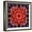 Mandala Ornament from Flower Photographs-Alaya Gadeh-Framed Photographic Print