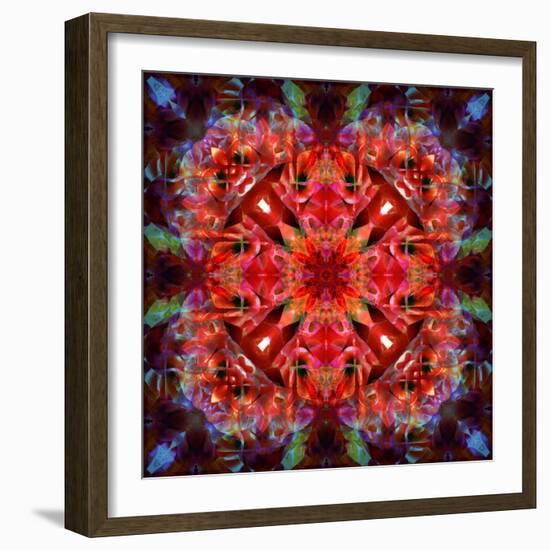 Mandala Ornament from Flower Photographs-Alaya Gadeh-Framed Photographic Print