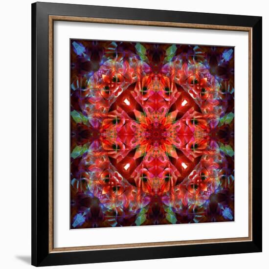 Mandala Ornament from Flower Photographs-Alaya Gadeh-Framed Photographic Print