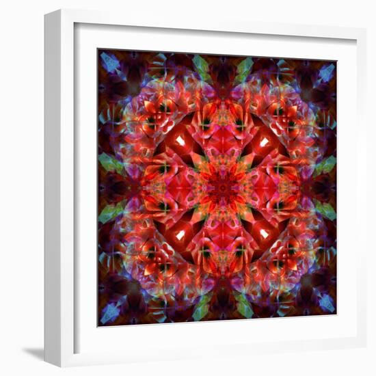 Mandala Ornament from Flower Photographs-Alaya Gadeh-Framed Photographic Print