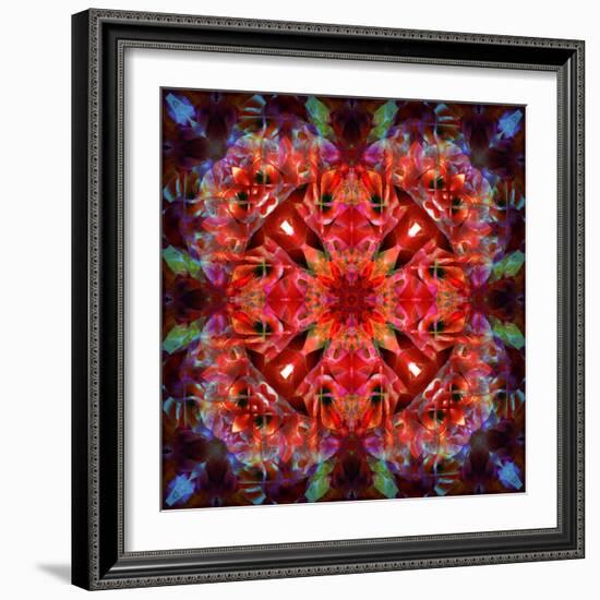 Mandala Ornament from Flower Photographs-Alaya Gadeh-Framed Photographic Print