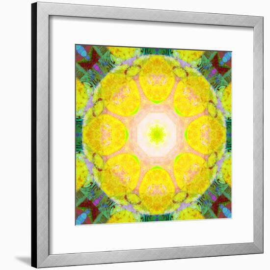 Mandala Ornament from Flower Photographs-Alaya Gadeh-Framed Photographic Print