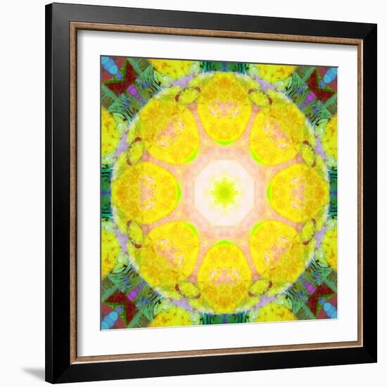 Mandala Ornament from Flower Photographs-Alaya Gadeh-Framed Photographic Print