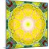 Mandala Ornament from Flower Photographs-Alaya Gadeh-Mounted Photographic Print