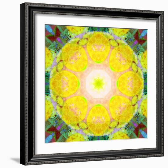 Mandala Ornament from Flower Photographs-Alaya Gadeh-Framed Photographic Print