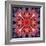 Mandala Ornament from Flower Photographs-Alaya Gadeh-Framed Photographic Print