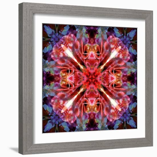 Mandala Ornament from Flower Photographs-Alaya Gadeh-Framed Photographic Print