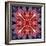 Mandala Ornament from Flower Photographs-Alaya Gadeh-Framed Photographic Print