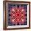 Mandala Ornament from Flower Photographs-Alaya Gadeh-Framed Photographic Print