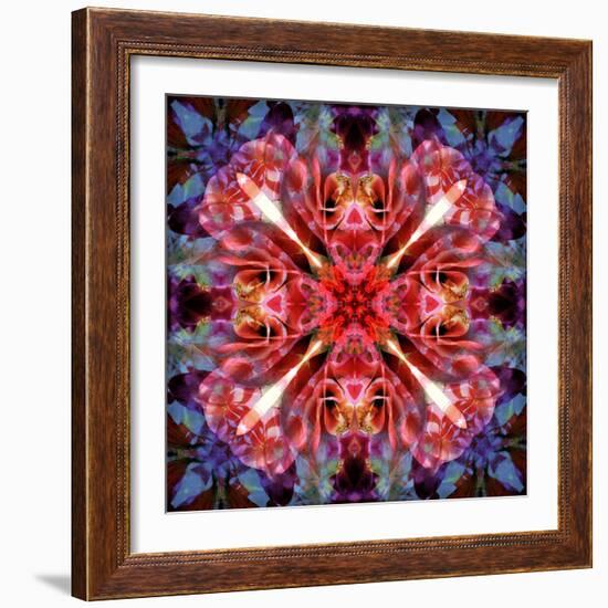 Mandala Ornament from Flower Photographs-Alaya Gadeh-Framed Photographic Print