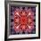 Mandala Ornament from Flower Photographs-Alaya Gadeh-Framed Photographic Print