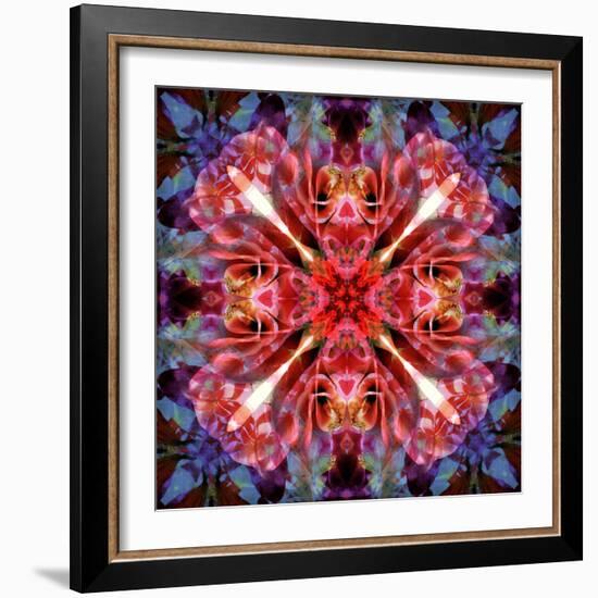 Mandala Ornament from Flower Photographs-Alaya Gadeh-Framed Photographic Print