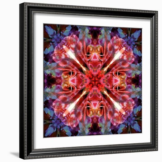 Mandala Ornament from Flower Photographs-Alaya Gadeh-Framed Photographic Print