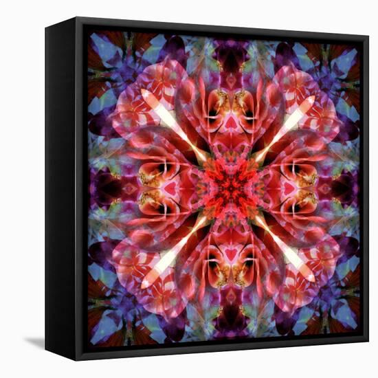 Mandala Ornament from Flower Photographs-Alaya Gadeh-Framed Premier Image Canvas