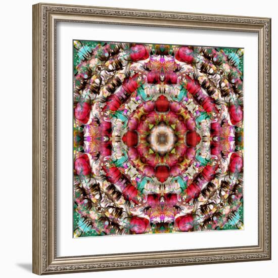 Mandala Ornament from Flower Photographs-Alaya Gadeh-Framed Photographic Print