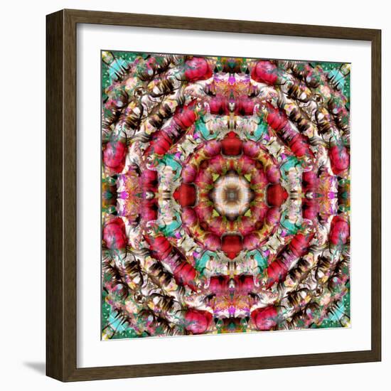 Mandala Ornament from Flower Photographs-Alaya Gadeh-Framed Photographic Print