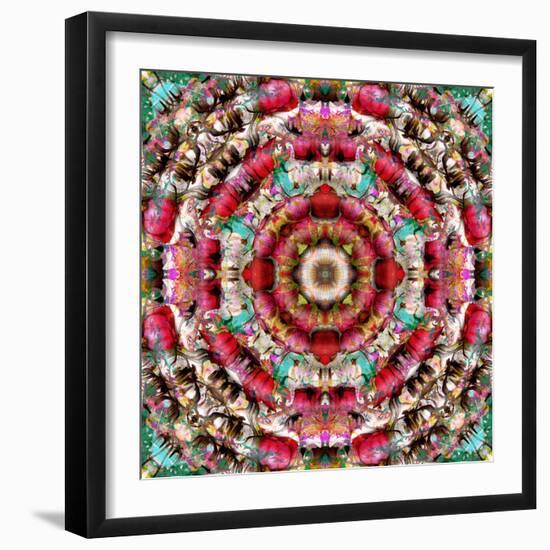 Mandala Ornament from Flower Photographs-Alaya Gadeh-Framed Photographic Print