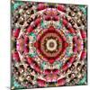 Mandala Ornament from Flower Photographs-Alaya Gadeh-Mounted Photographic Print