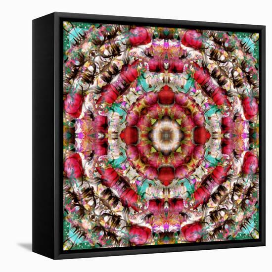 Mandala Ornament from Flower Photographs-Alaya Gadeh-Framed Premier Image Canvas