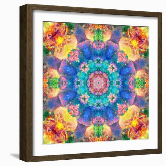 Mandala Ornament from Flower Photographs-Alaya Gadeh-Framed Photographic Print